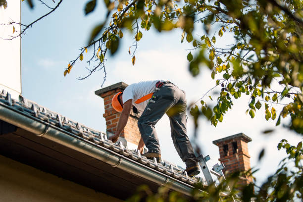 Best Roof Maintenance Services  in Heflin, AL