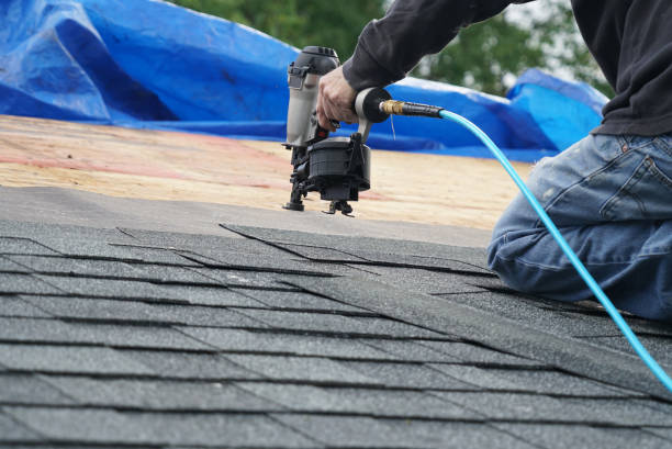 Best Storm Damage Roof Repair  in Heflin, AL